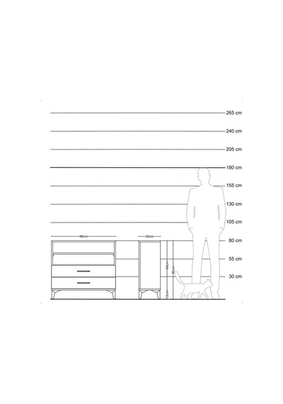 Arges Şifonyer 2 Raflı 2 Çekmeceli 88x30x80 Antrasit-çam Antrasit
