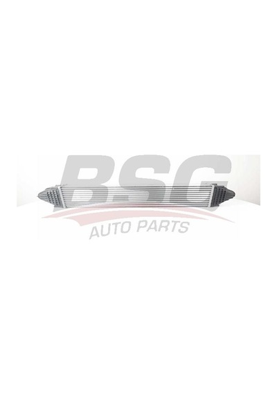 Bsg 15-535-010 Turbo Radyatoru 15535010 Wy958545