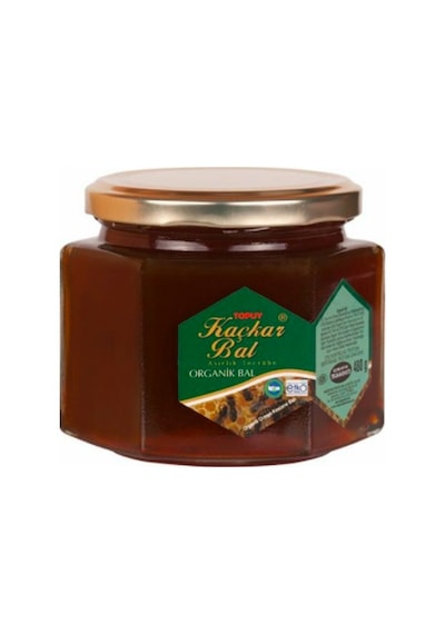 Topuy Kaçkar Organik Orman Balı 480 G