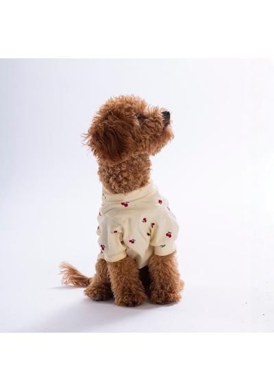 Cherry Glow Kiraz Desenli Kedi Köpek Sweati - Kedi Köpek Kıyafeti-kedi Köpek Sweati
