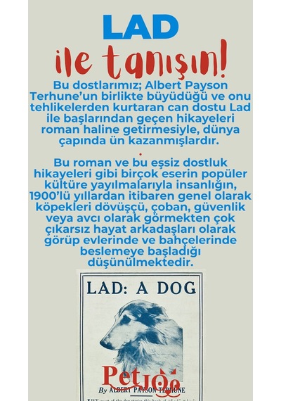 Petjoo 23.Lad Kırmızı-Mavi Qr'lı Köpek Künyesi