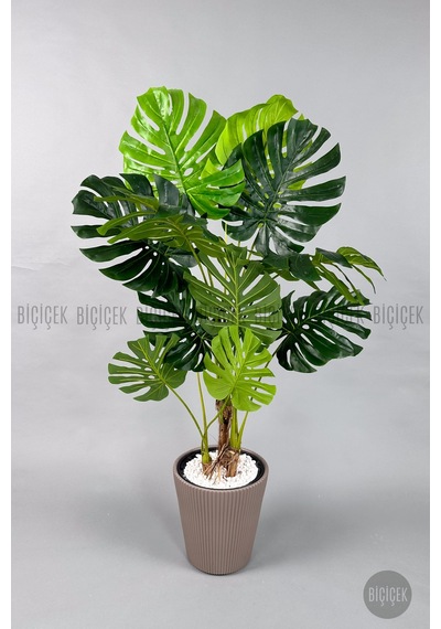 Biçiçek Yapay Monstera Ağacı Deve Tabani 160 Cm Mocha Luna Saksıda