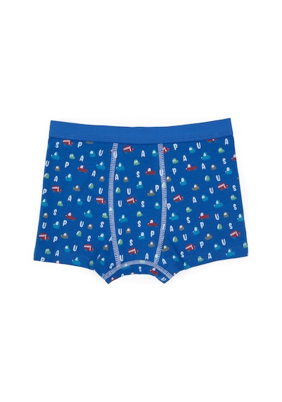 U.S. Polo Assn. Erkek Çocuk 3'lü Boxer Takım 50319394-VR028