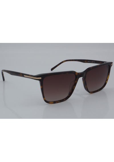 Blancia Bc 1207 C2 55 - 01 Güneş Gözlüğü Leopar