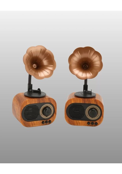 Northcity Mini Nostaljik Bluetooth Hoparlör Fm Radyo - Yeni Nesil