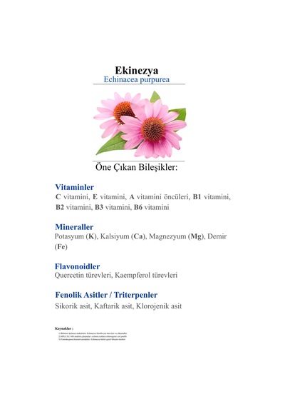Ekinezya Bitkisel Sıvı Ekstraktı 250ml - Takviye Edici Gıda