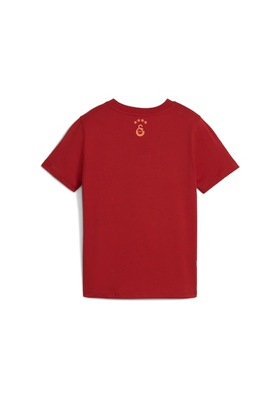 Puma Galatasaray Ftblculture Genç Tişört 782920 01 KIrmızı