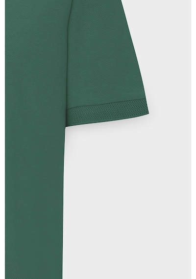 Ac&Co / Altınyıldız Classics Erkek Koyu Yeşil Slim Fit Dar Kesim Polo Yaka Kısa Kollu Tişört 4A4820200001Kyls Yeşil Ac&Co / Altınyıldız Classics Erkek Koyu Yeşil Slim Fit Dar Kesim Polo Yaka Kısa Kollu Tişört 4A4820200001Kyls Yeşil