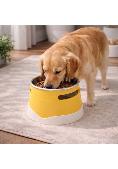 İsime Özel Yükseltilmiş Köpek Mama Kabı Paslanmaz Çelik Hazne, Ergonomik Tasarım