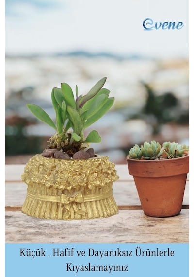 Mini Çiçek Saksı Küçük Sukulent Kaktüs Saksısı Çiçekli Fiyonklu Model - Altın