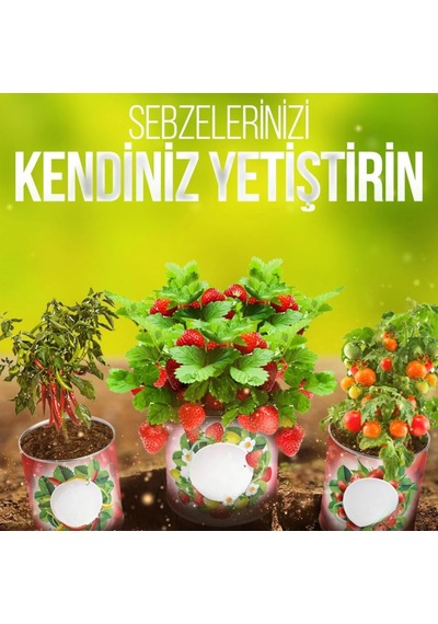 Konserve Bahçem Evde Konservede Fındık Turp Yetiştirme Kiti Belirtilmemis