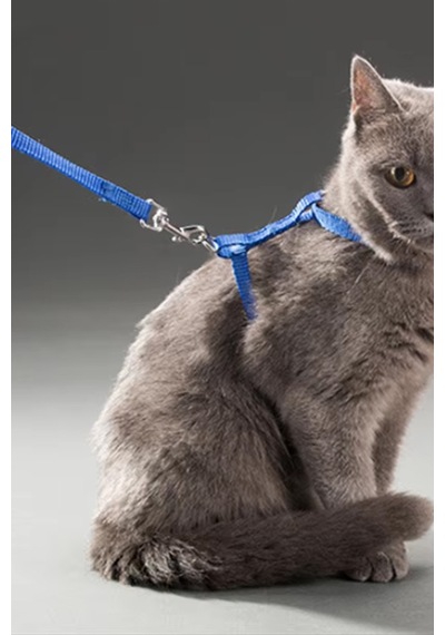 Thentech Kedi Sırt Tasması Kancalı Sağlam Kedi Tasması Göğüs Tasması Park Gezileri İçin Tasma