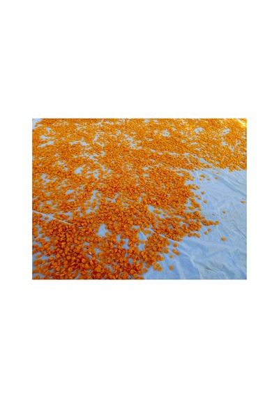 Organik Kayısı Kurusu 1 Kg Diğer