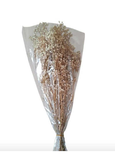 Şoklanmış Kurutulmuş Cipso Çiçeği 1 Demet 50-60gr - 35-45cm Krem