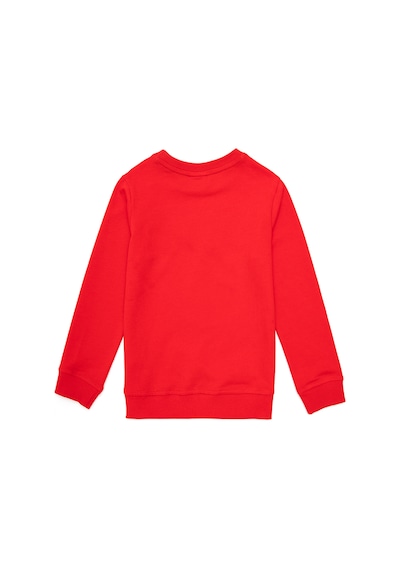 U.S. Polo Assn. Erkek Çocuk Kırmızı Bisiklet Yaka Sweatshirt 50289143-VR030