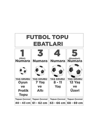 Puma Teamfinal 21.5 Hs Ball Unisex 5 No Çok Renkli Futbol Topu 08