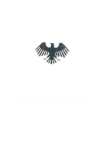 Altın Kartal Rozet Suriye Nin Yeni Sembölü Altın Metal Yaka Rozeti A300064 Altın