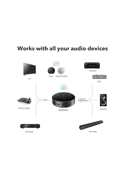 Wiim Mini Airplay2 Kablosuz Ses Aktarıcı