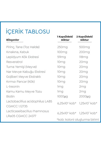Probiome-fort Takviye Edici Gıda 60 Kapsül