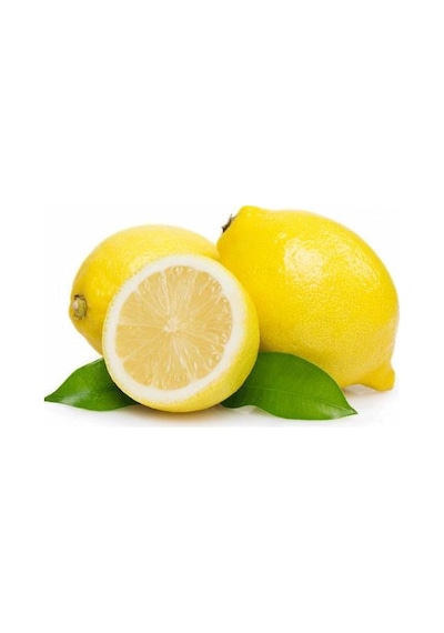Yediveren Limon Fidanı Aşılı - Tüplü \ 70-100 Cm