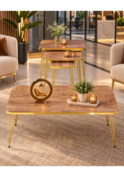 Odera Ceviz Orta Sehpa Ve Zigon Sehpa 4'lü Set Metal Tel Ayaklı Modern Retro Salon Sehpası Diğer