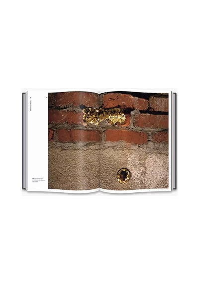 Thames And Hudson Street Craft 9780500517840