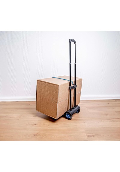 Brüder Mini Taşıma Arabası M00925