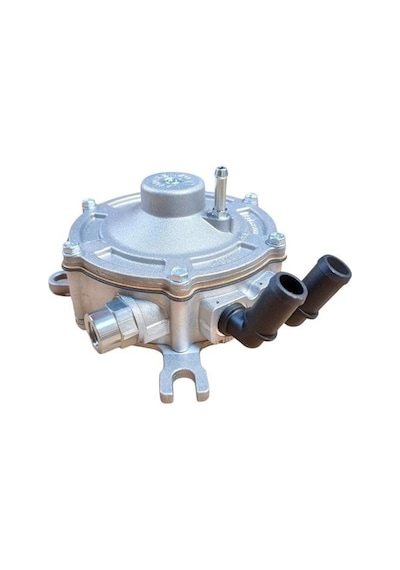 Dedantor Lpg Sandero Maıs 163103466r