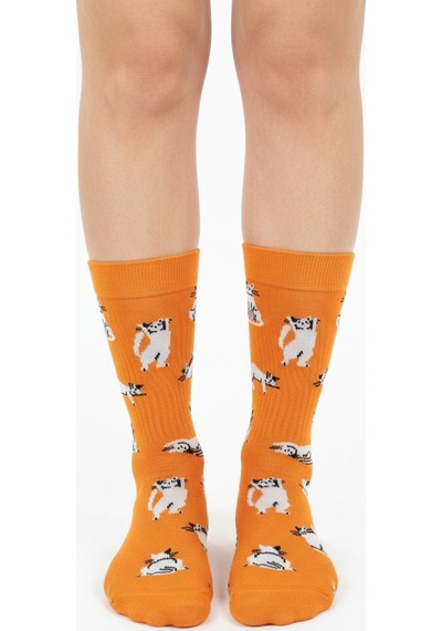 Gost Liria Silver Cat Socks Desenli Unisex Soket Çorap Turuncu