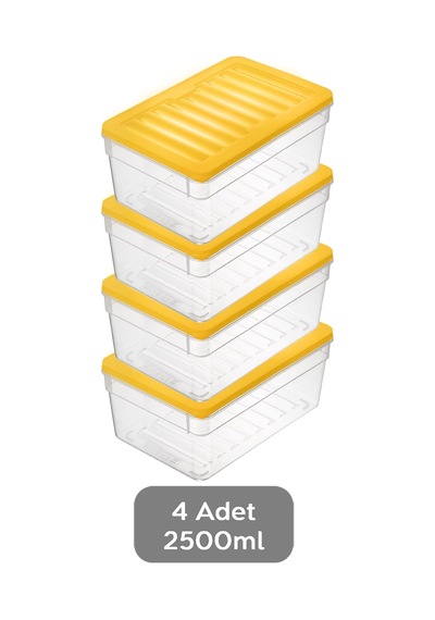 4'lü Derin Buzdolabı Organizer Set Düzenleyici Saklama Kabı Mikrodalga Difriz Kabı 2500ml Sarı Çok Renkli