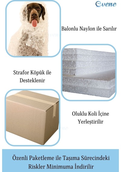 Dekoratif Biblo Kaktüs Dekor Objesi El Yapımı Hediyelik Süs Eşyası Model Kaktüs1 - Beyaz