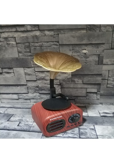 Everton RT-705Bt FM RadyoUsbBt Müzik Kutusu