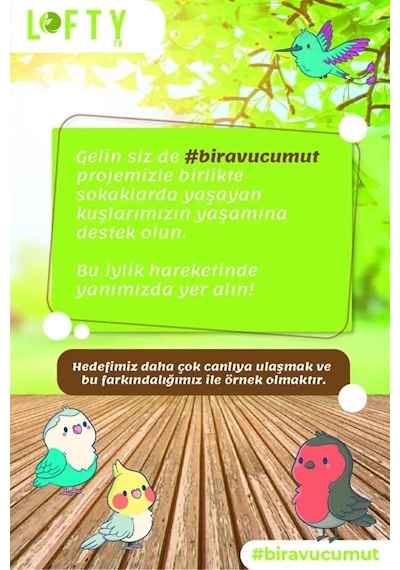 Lofty Vanilya Saf Uçucu Yağ 10ml -%100 Doğal Esansiyel Yağ Buhurdanlık, Difüzör Ve Oda Kokusu İçin Ferahlatıcı Etki Diğer