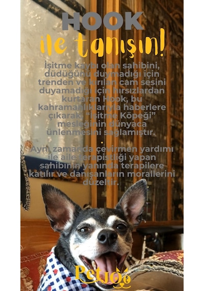 Petjoo 7.Hook Sarı-Gri Qr'lı Köpek Künyesi