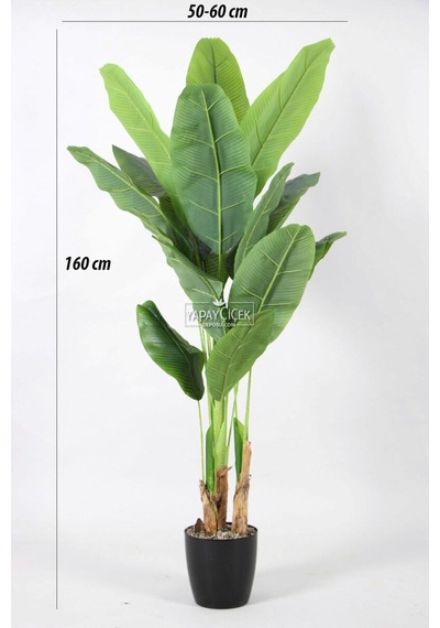 Yapay Muz Ağacı Gerçek Dokulu 13 Yapraklı 160 Cm
