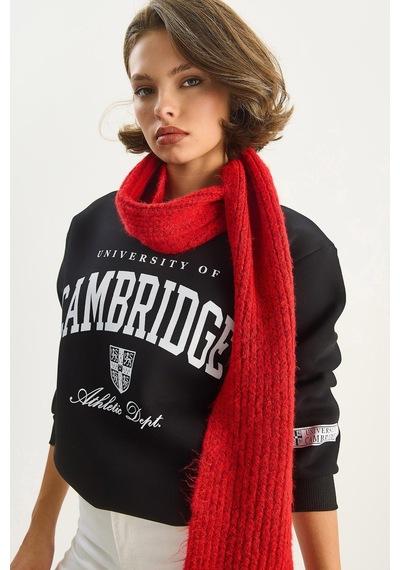Shade Kadın Bisiklet Yaka Baskılı Üç İplik Şardonlu Basic Sweatshirt 6067 60283619 - Siyah