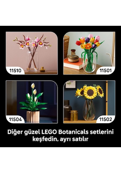 LEGO® Botanicals Orman Mantarları 11505 - Yetişkinler için Çeşitli Mantarlar İçeren Dekoratif Model Yapım Seti (806 Parça)