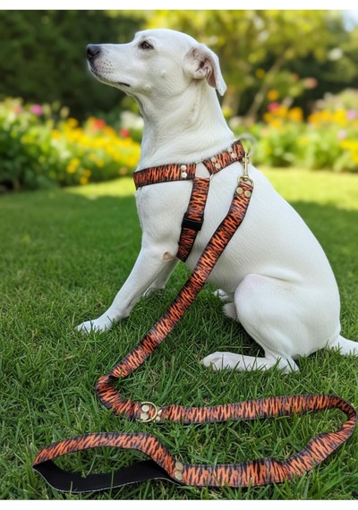 Tr Köpek Göğüs Tasması Ayarlanabilir Ve Gezdirme Kayışı 2'li Set Küçük Ve Büyük Irk Kaplan Desen Genel