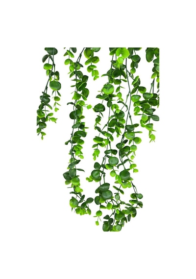 Yapay Çiçek 5dal Sarkan Okaliptus Şimşir Yapay Sarmaşık 70cm