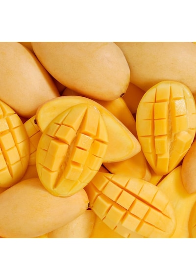 Aşılı Sweet Yellow Mango Fidanı - 2 Yaş - Tüplü 60-70 Cm - Yüksek Şeker Oranlı Lifsiz Sarı Mango