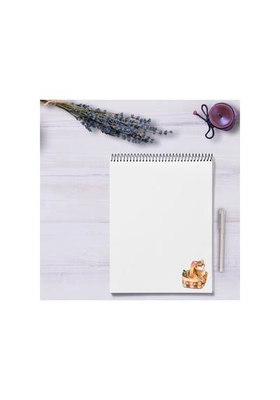 62 Adet Sevimli Kediler Sticker Seti - Etiket Seti Scrapbook Bullet Journal Çok Renkli