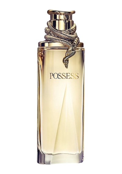 Possess Edp Diğer