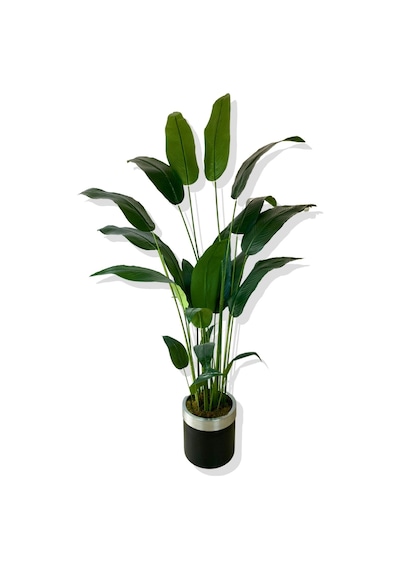 Cihan Çiçekçilik Starliçe 24 Yaprak 190 Cm Yapay Ağaç 30x30 Gümüş Kemerli Saksı Beyaz- Yeşil