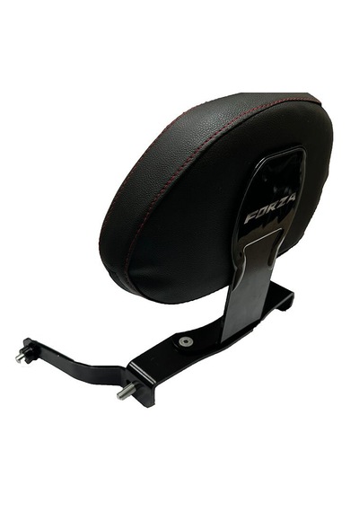 Gogo Premium Honda Forza 250 2023 - 2024 Uyumlu Sissy Bar
