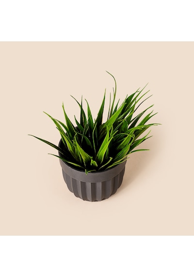 Dekor Dekoratif Saksılı Yapay Çimen - Yeşil - 8 Cm