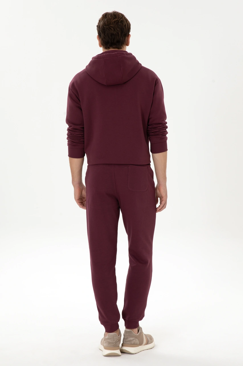 U.s. Polo Assn. Erkek Plum Eşofman Altı 50315730-vr177 New Plum