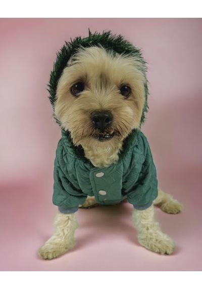 Kemique Green Comfie Köpek Montu Ceketi Köpek Dış Giyim