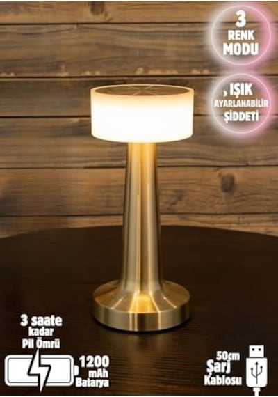 Dekoratif Şarjlı Dokunmatik Led Masa Lambası Usb Kablolu Abajur Ve Gece Lambası Altın .