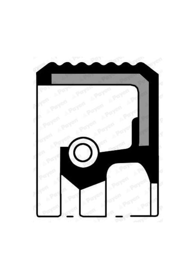On Aks Kecesı Sag Ducato Boxer Jumper 2,8hdı Olcu: 34,9 54 11,3 / 07019090b