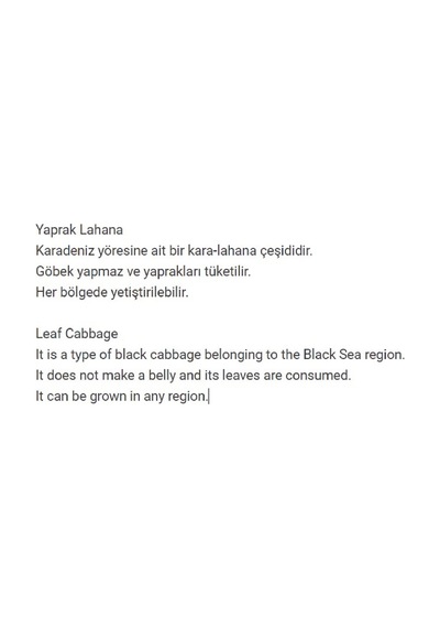 Yöresel Kara Lahana Karadeniz Lahanası Yaprak Lahana 100 Ad Tohum